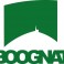 Illustration du profil de Boognat Website